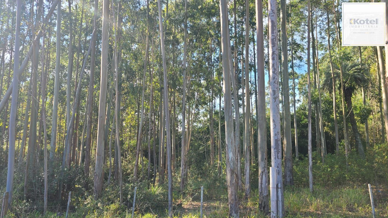 Ampla Área em Viamão – 18,5 Hectares de Potencial