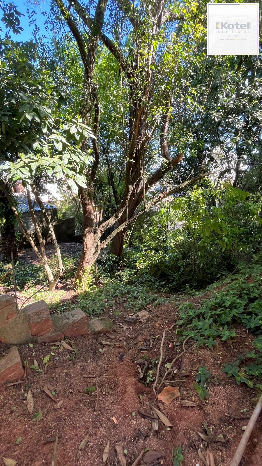 Excelente oportunidade para empreender, Bairro Tristeza, Zona Sul de Porto Alegre/RS — foto 2