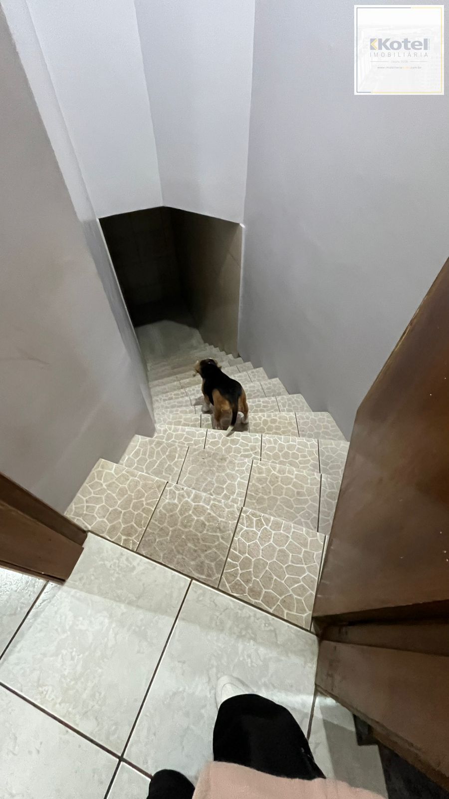 Casa, 3 quartos, à venda, 237 m², Querência - Viamão — foto 4