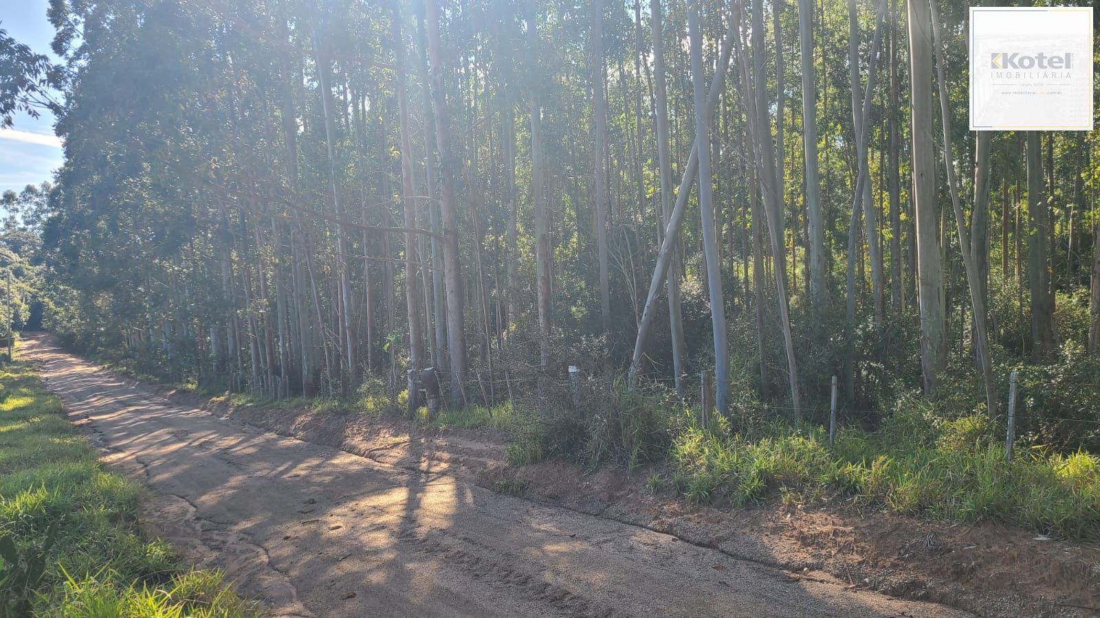 Ampla Área em Viamão – 18,5 Hectares de Potencial