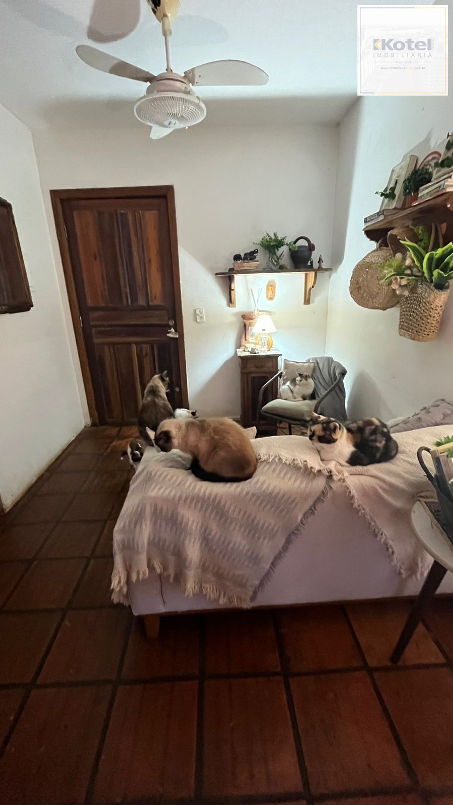 Apartamento 2 Dormitórios com 61,50m² em Condomínio com Lazer Completo e Rua Tranquila — foto 3