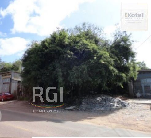 Terreno para Venda - 0m², 0 dormitórios, Vila Nova — foto 3