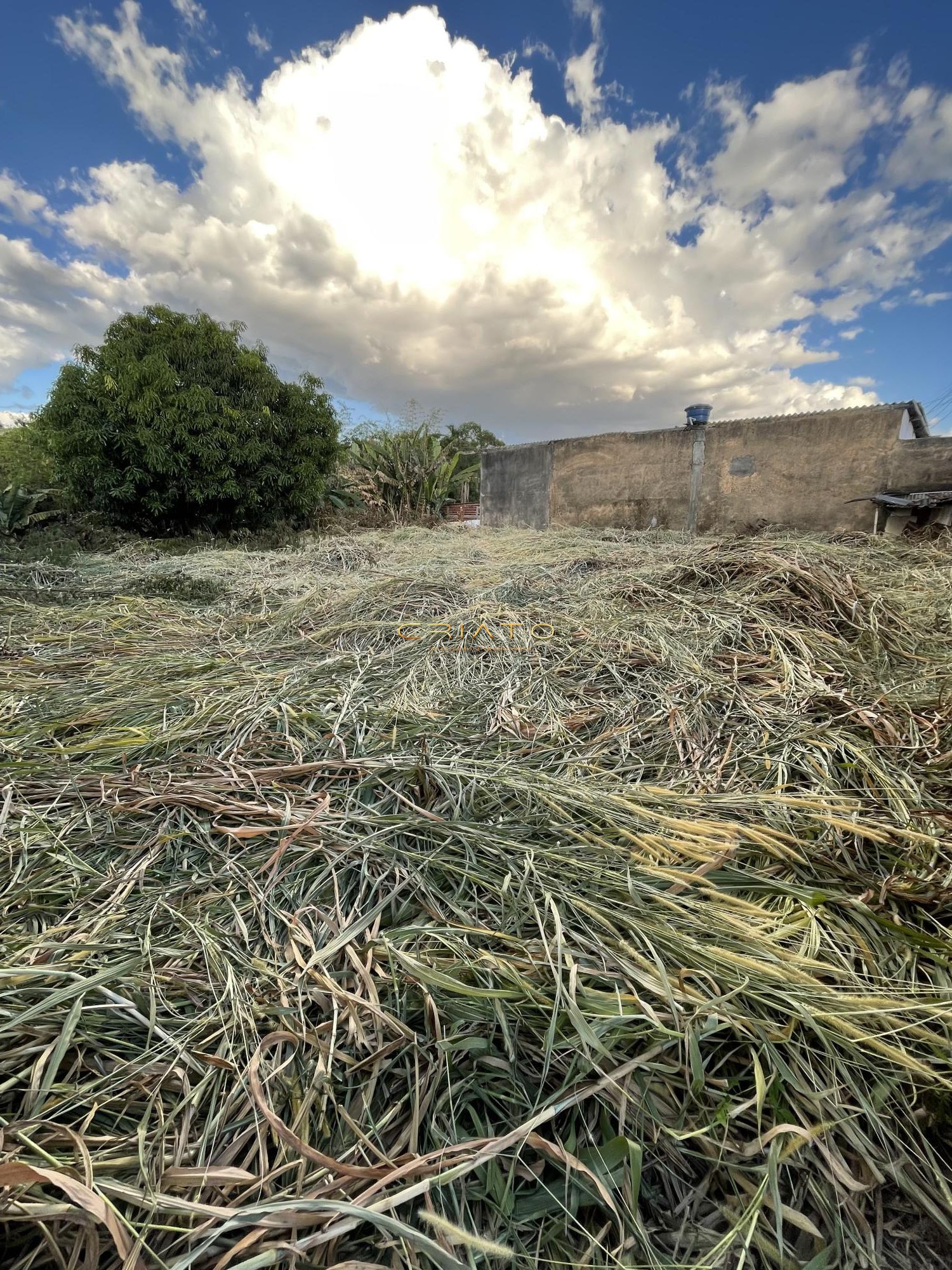 Terreno/Lote à venda  no Jardim Ana Paula - Anápolis, GO. Imóveis