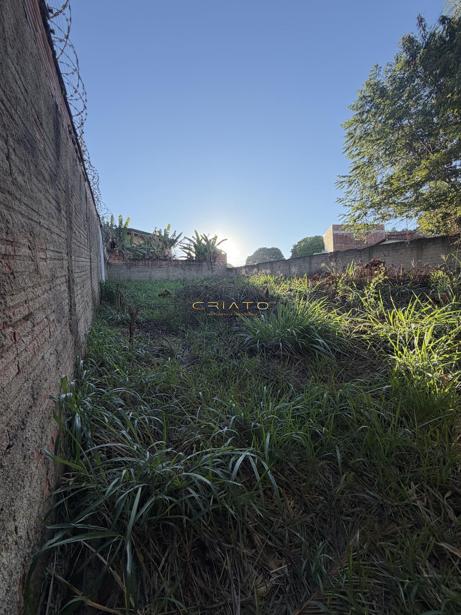 Terreno, 429 m² - Foto 6
