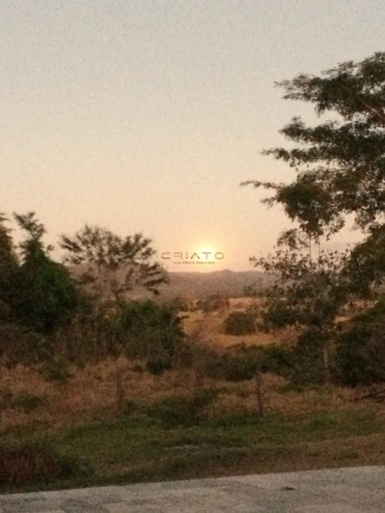 Fazenda à venda com 11 quartos, 504200m² - Foto 32