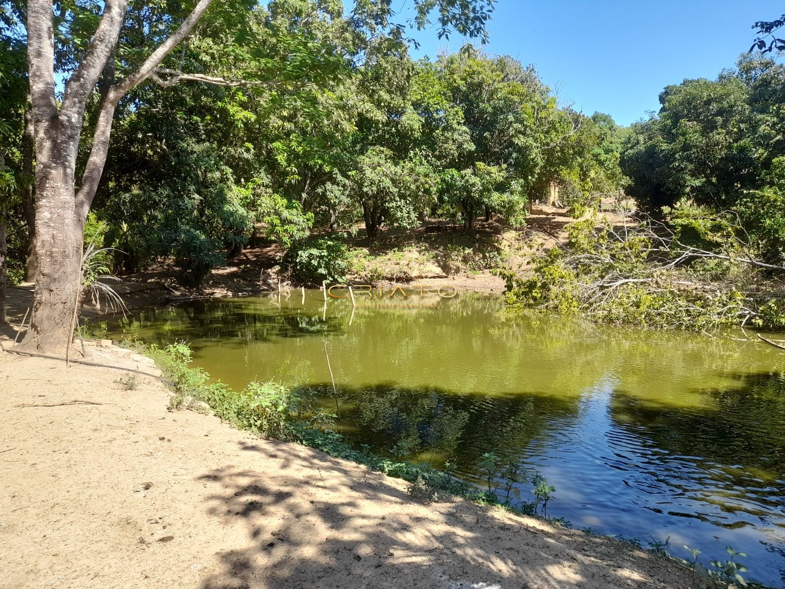 Fazenda, 145 hectares - Foto 1