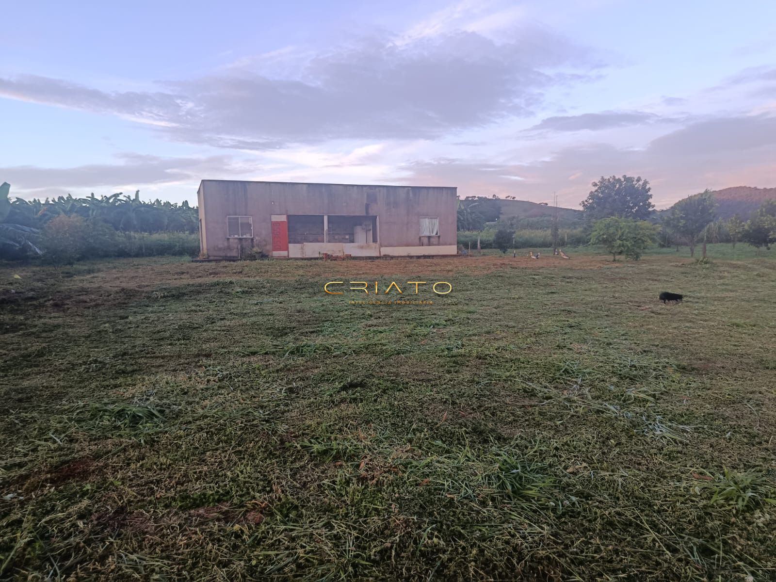 Sítio, 2 quartos, 5 hectares - Foto 2