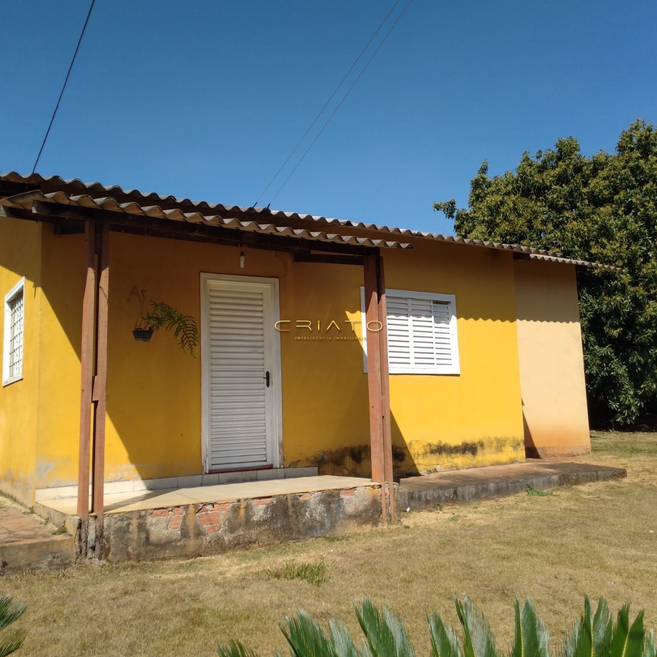 Fazenda à venda com 3 quartos, 100m² - Foto 34