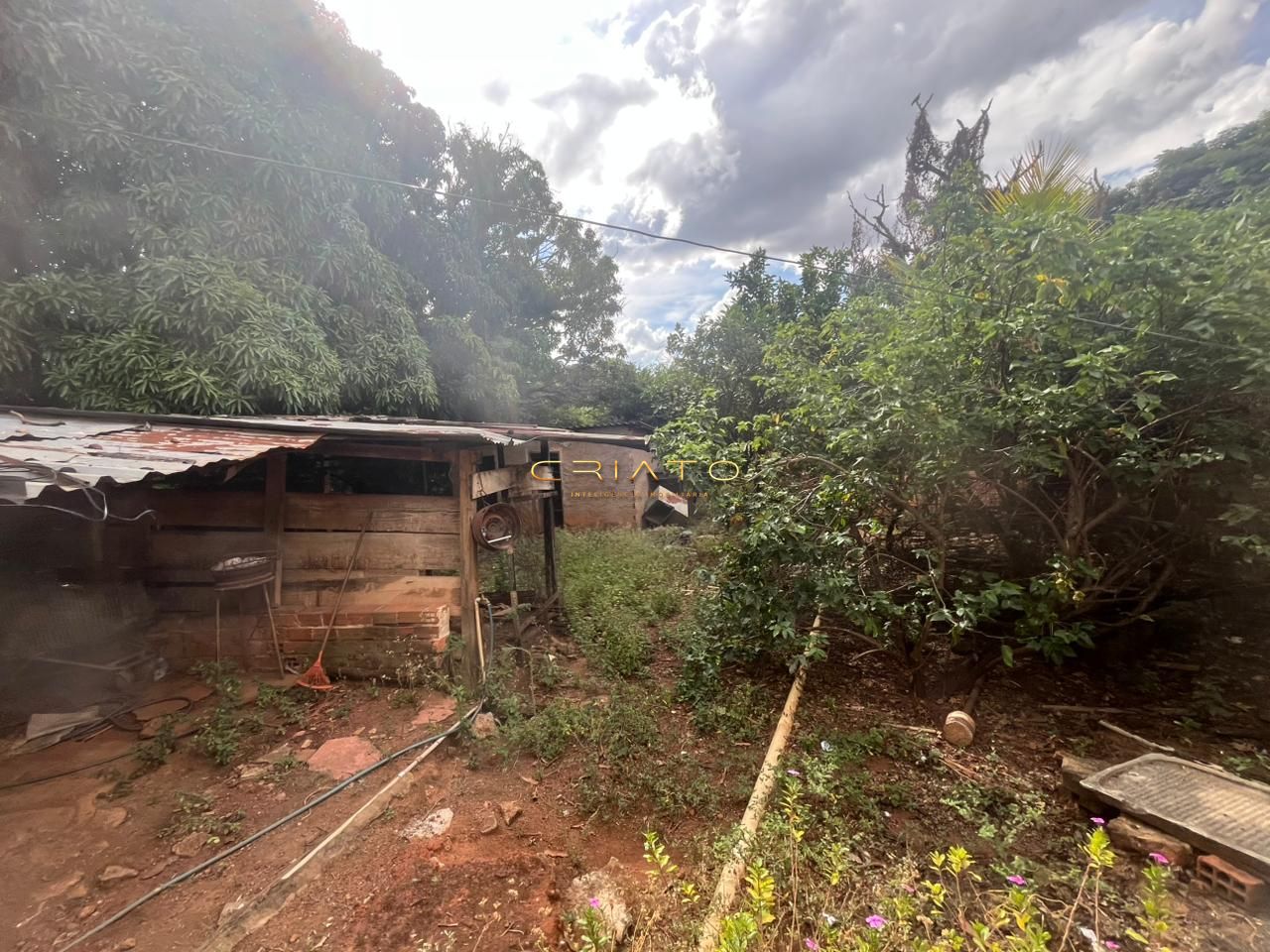 Terreno, 3200 m² - Foto 4