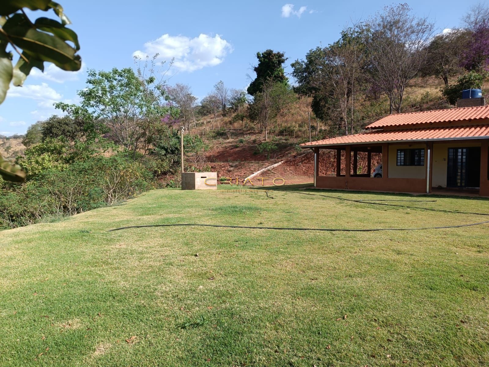 Fazenda à venda com 3 quartos, 12500m² - Foto 8