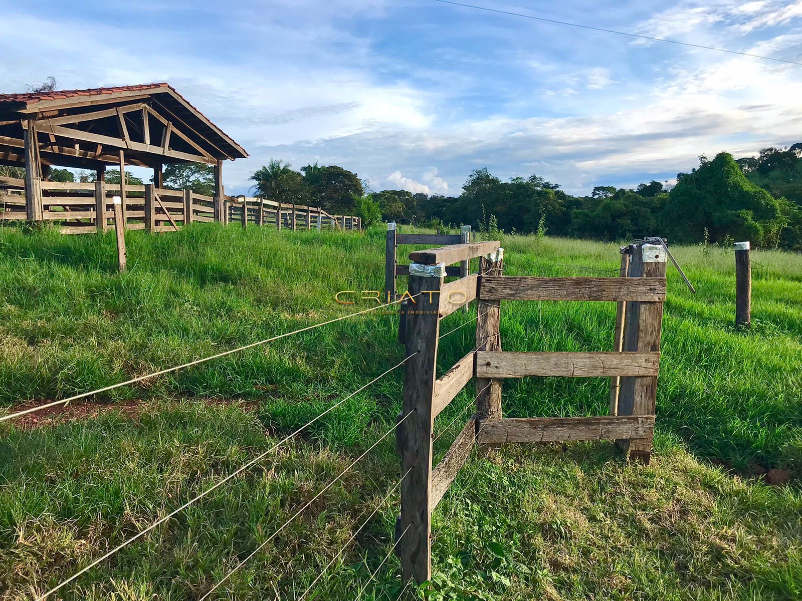 Fazenda/stio/chcara/haras  venda  no Zona Rural - Petrolina de Goias, GO. Imveis