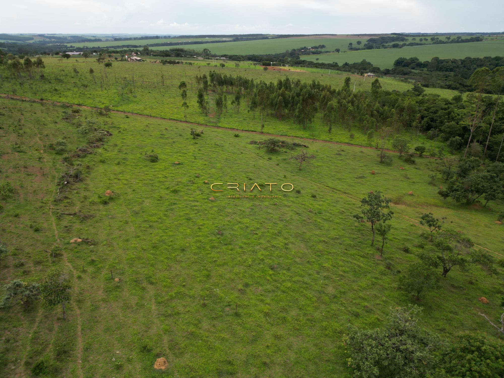 Fazenda à venda, 96000m² - Foto 7