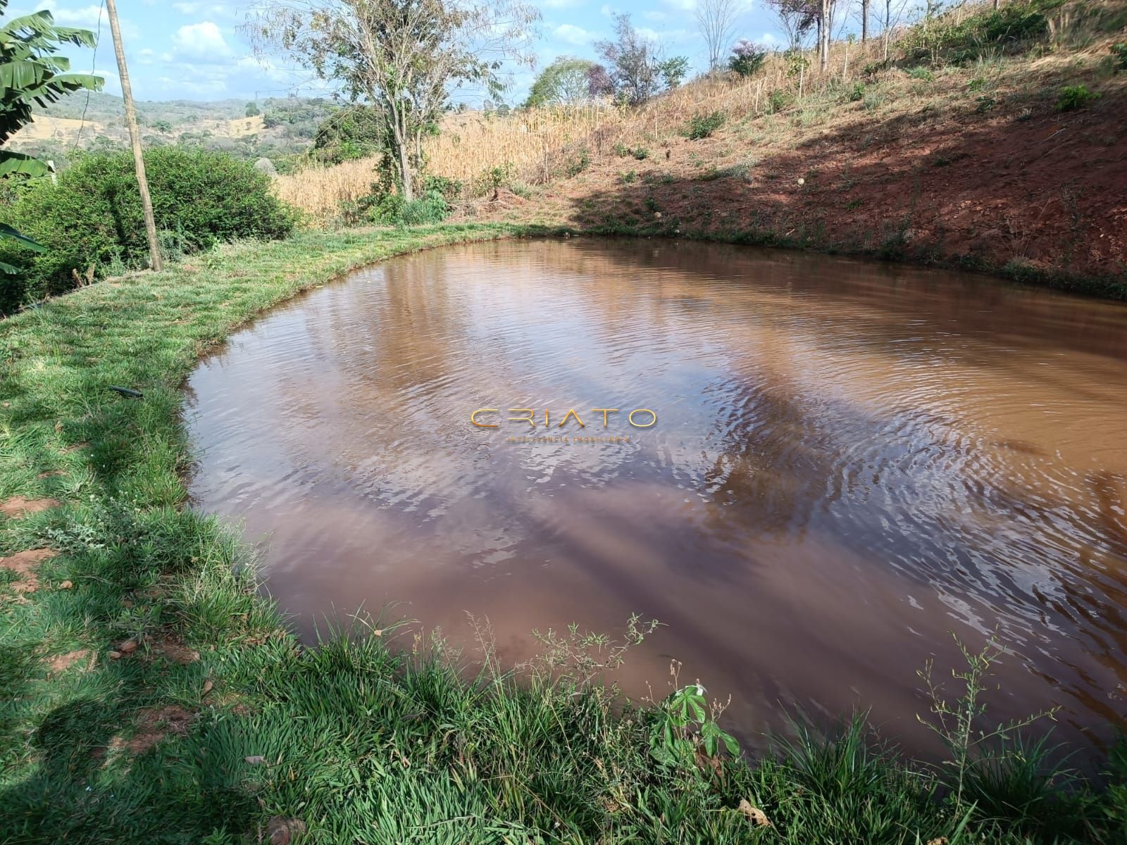 Fazenda à venda com 3 quartos, 12500m² - Foto 20