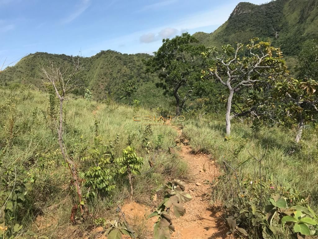 Fazenda à venda com 2 quartos, 80m² - Foto 22