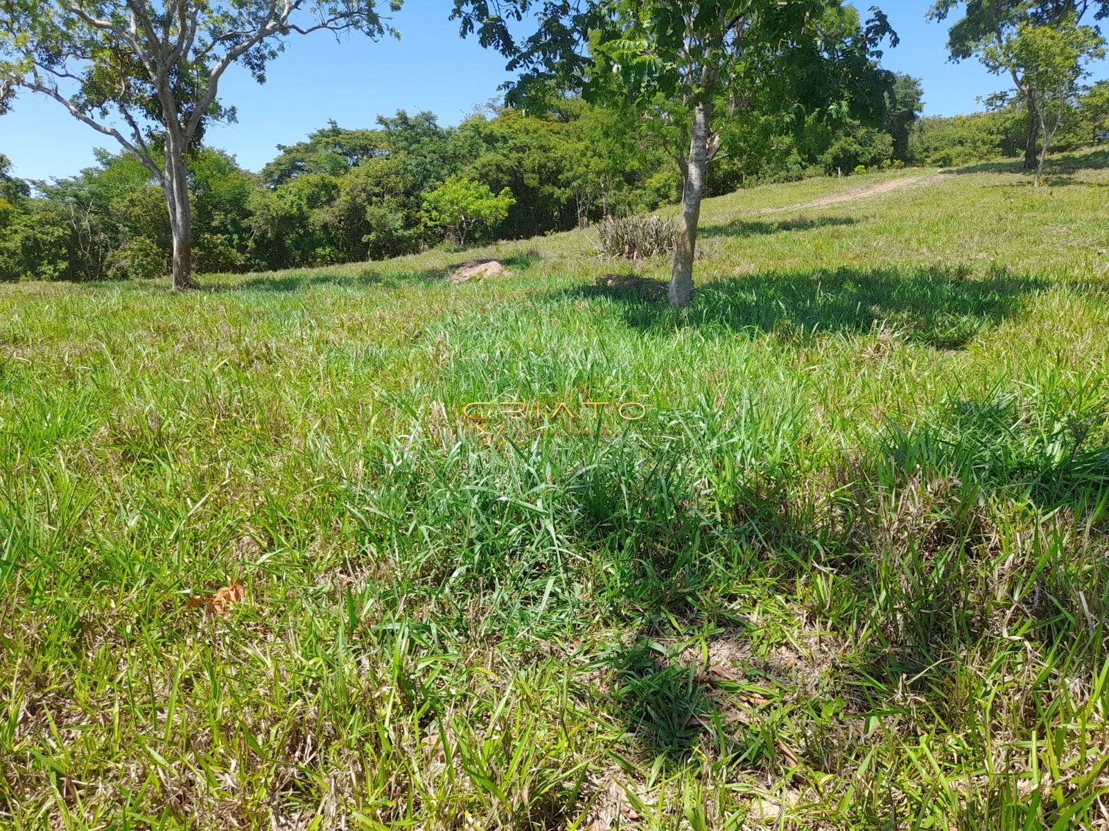 Fazenda, 145 hectares - Foto 16