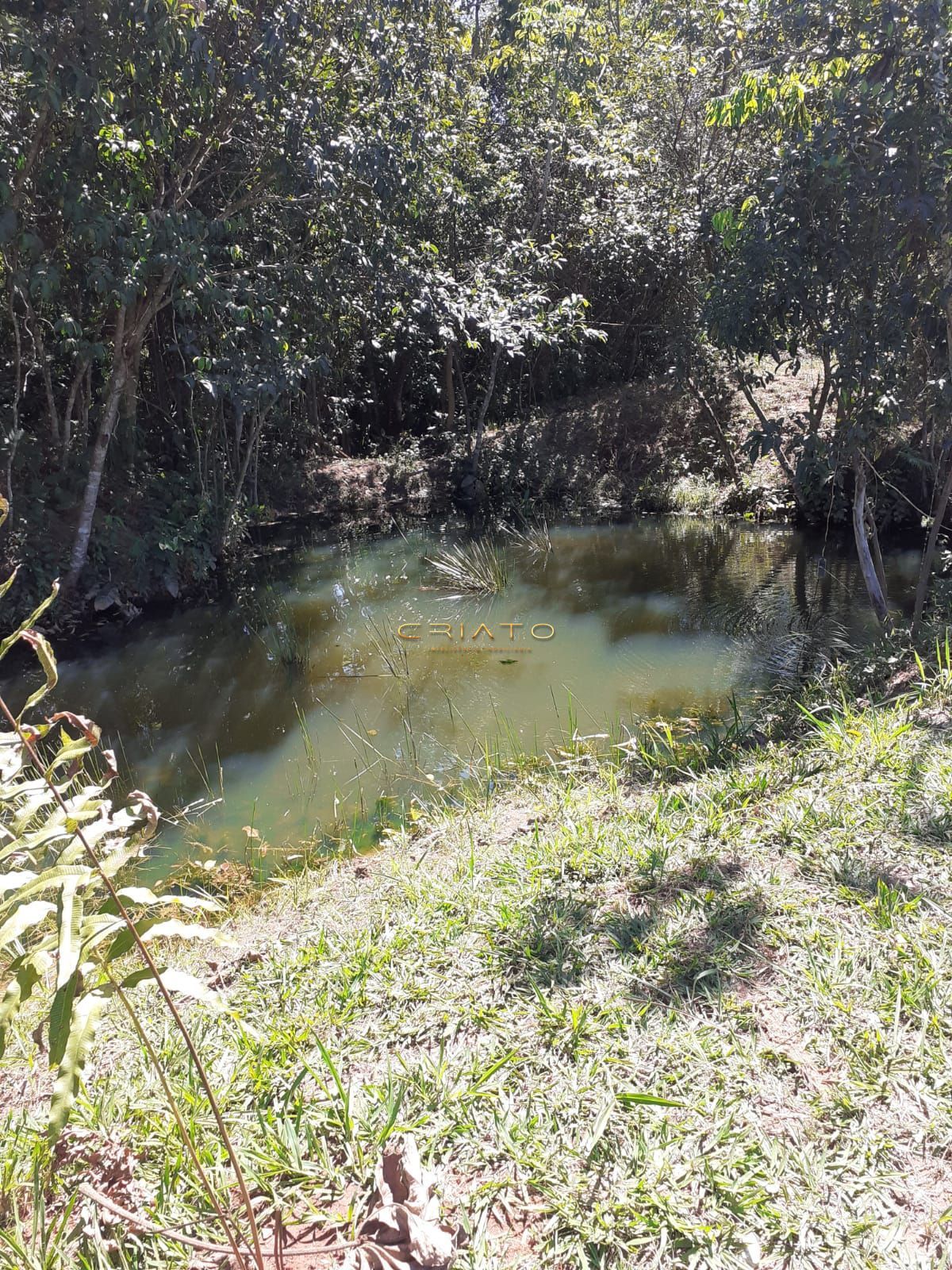 Fazenda à venda com 3 quartos, 20000m² - Foto 17