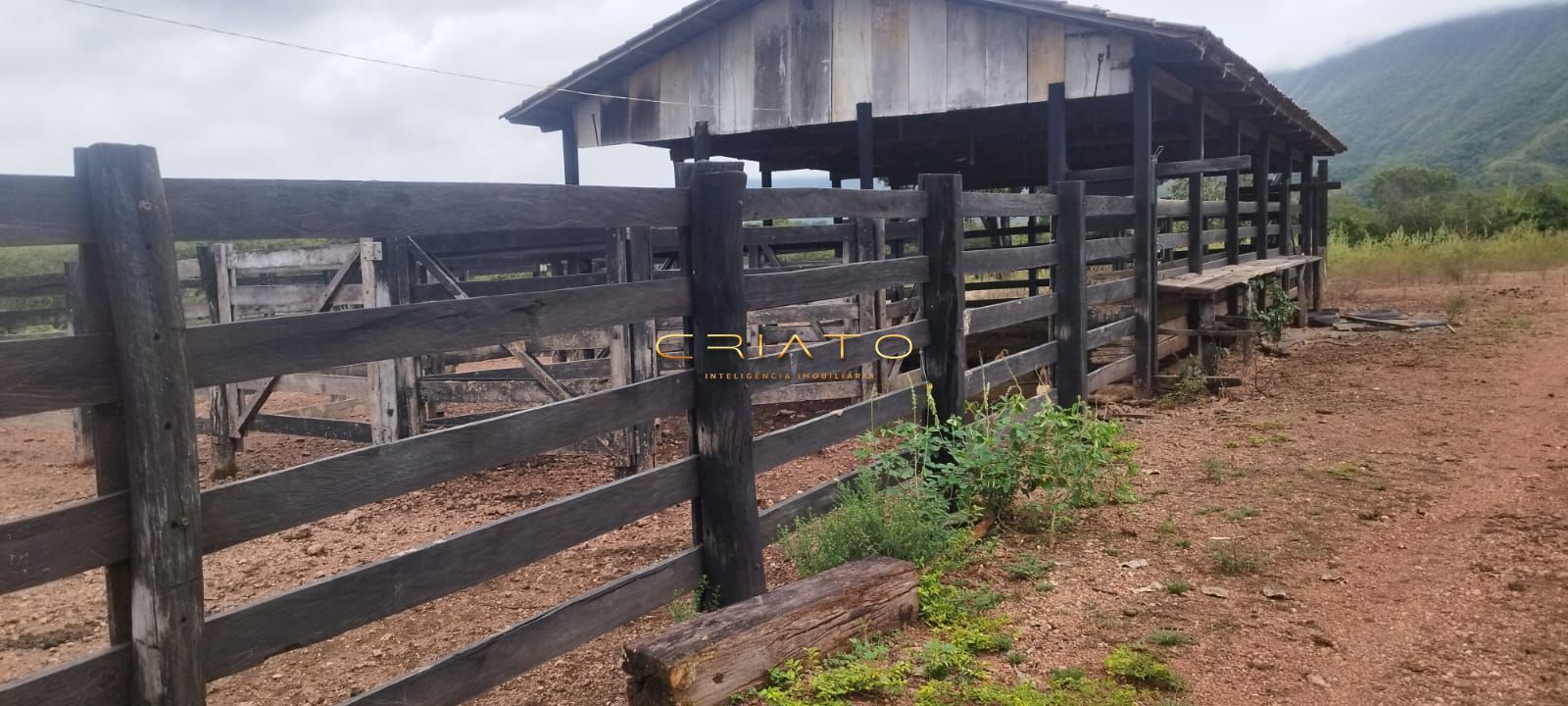 Fazenda à venda com 2 quartos, 5390000m² - Foto 26