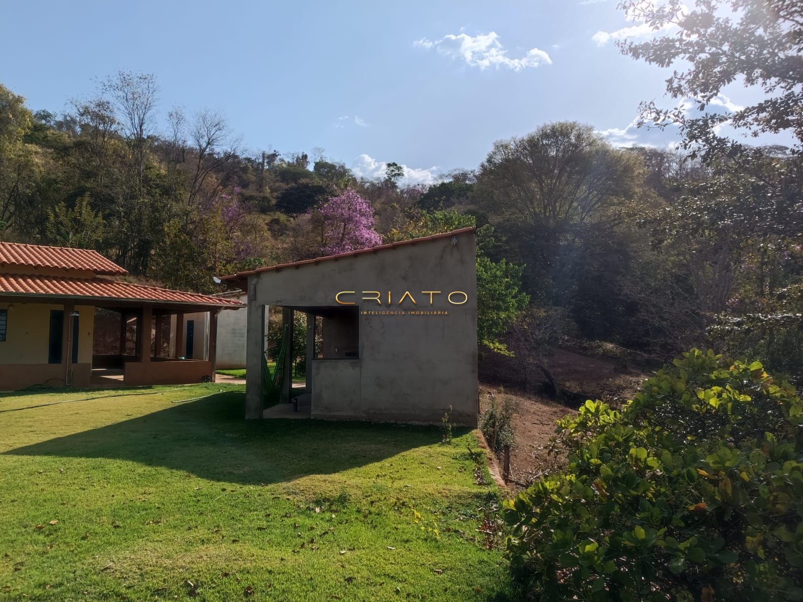 Fazenda à venda com 3 quartos, 12500m² - Foto 3