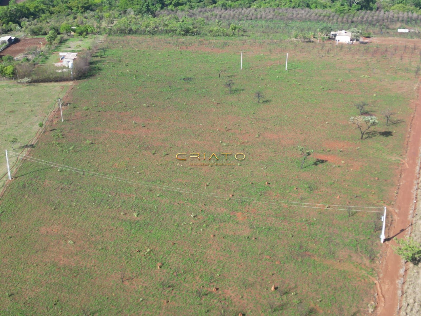 Fazenda à venda, 5000m² - Foto 5