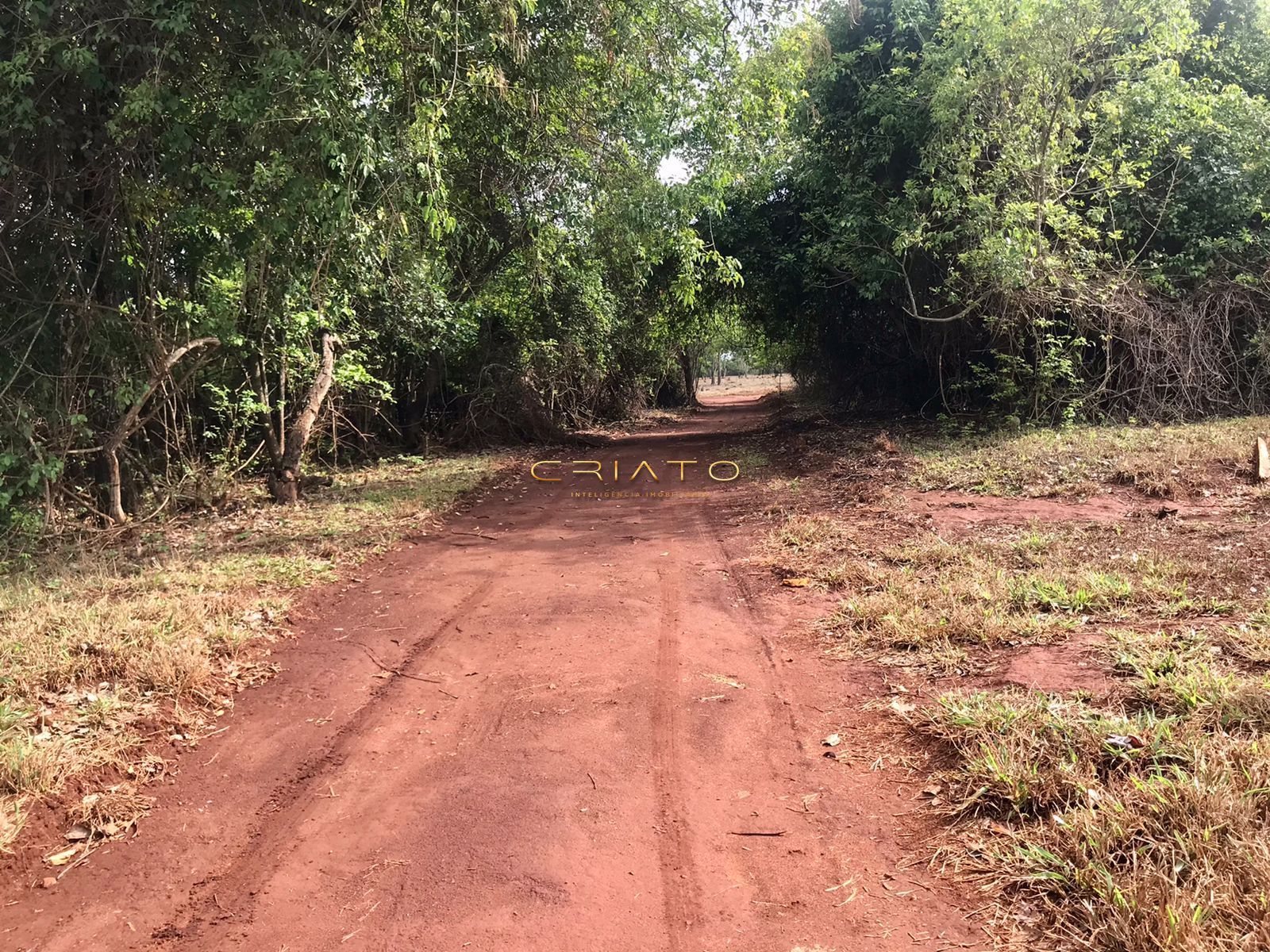 Fazenda à venda com 2 quartos, 150m² - Foto 21