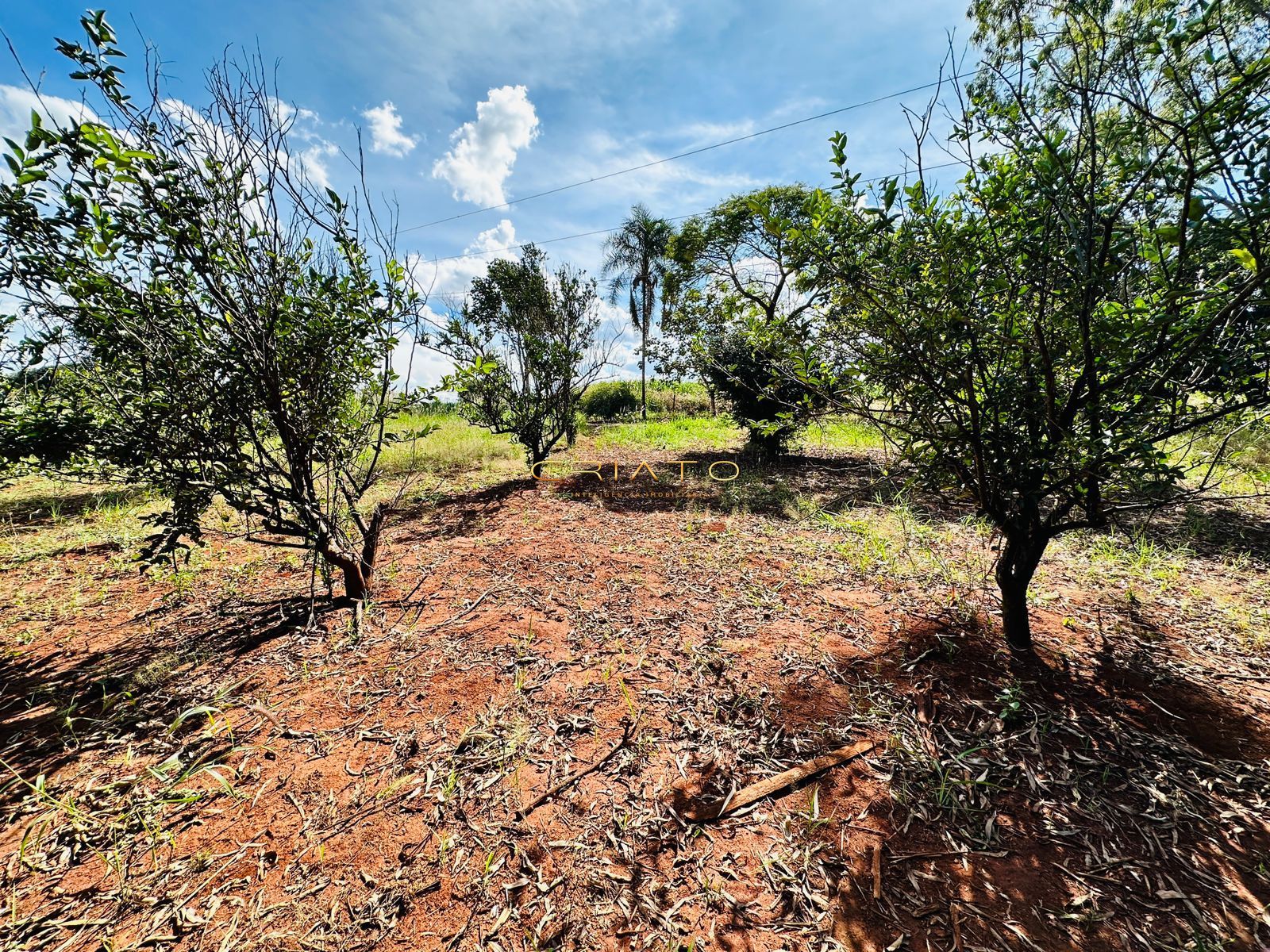 Fazenda à venda com 2 quartos, 40000m² - Foto 23