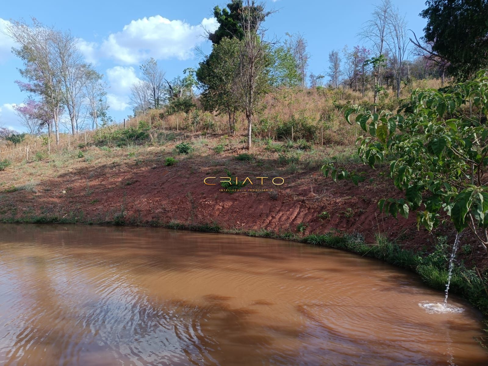 Fazenda à venda com 3 quartos, 12500m² - Foto 9