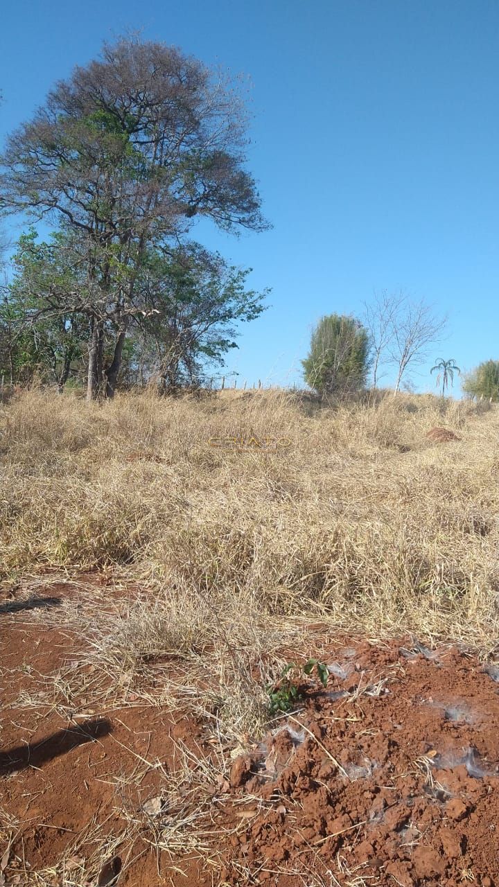 Loteamento e Condomínio à venda, 1000m² - Foto 4