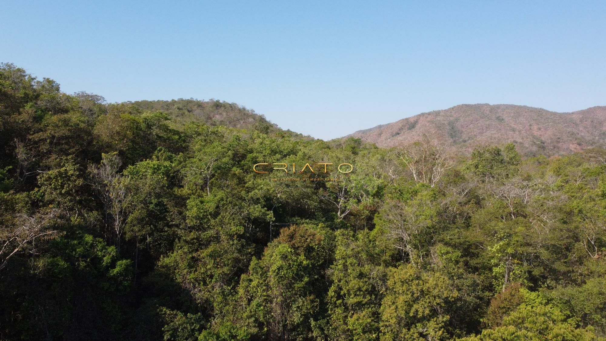 Fazenda à venda - Foto 7