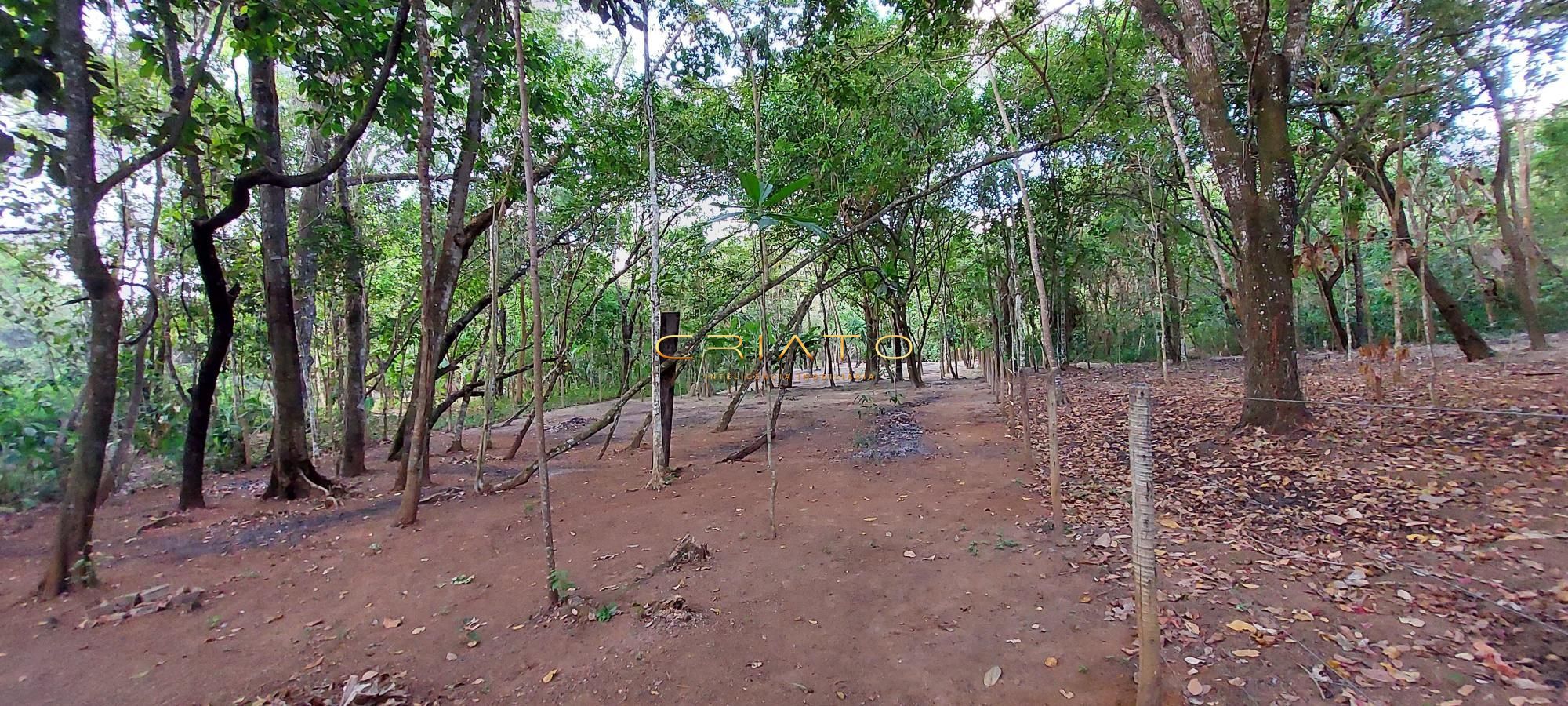 Fazenda à venda com 2 quartos, 3700m² - Foto 26