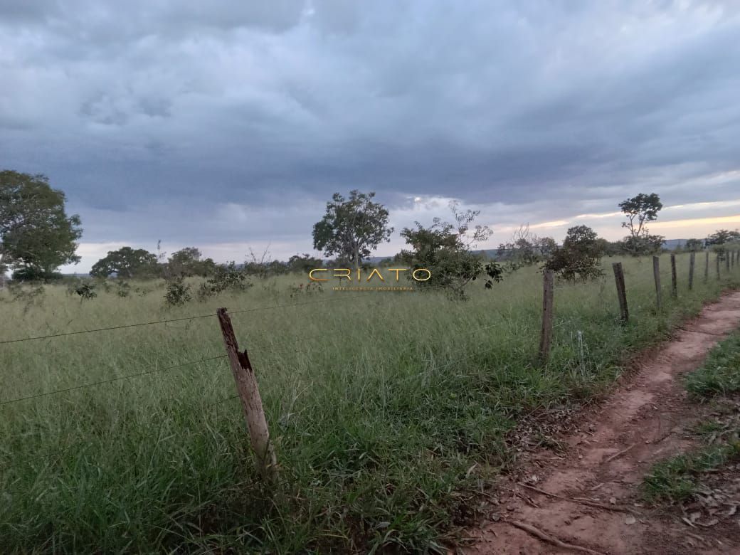 Fazenda à venda com 2 quartos, 36m² - Foto 25