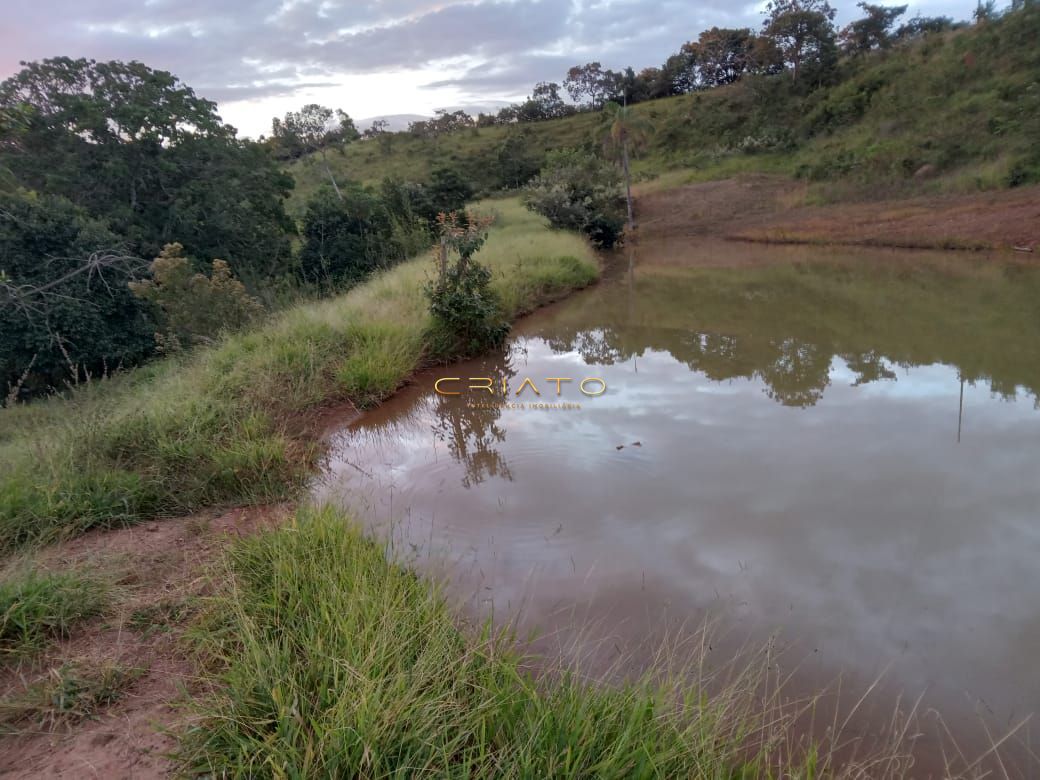 Fazenda à venda com 2 quartos, 36m² - Foto 4