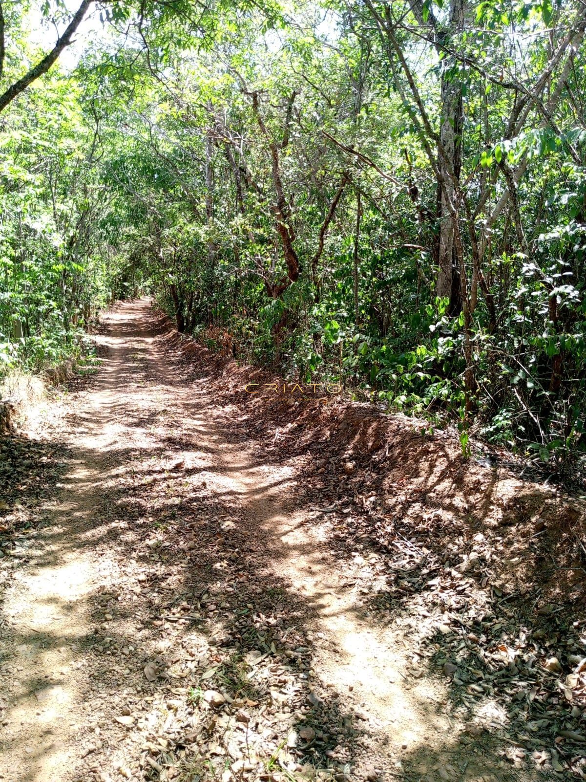 Chácara, 2 hectares - Foto 13