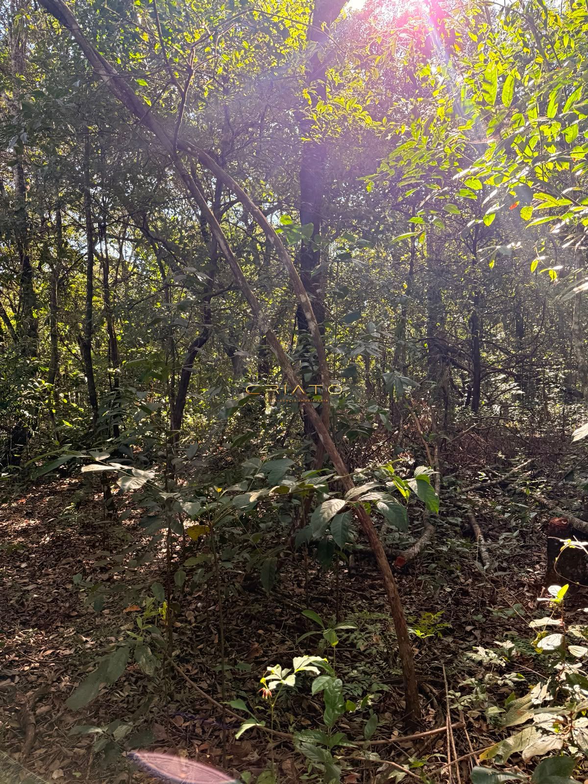 Terreno, 1200 m² - Foto 2