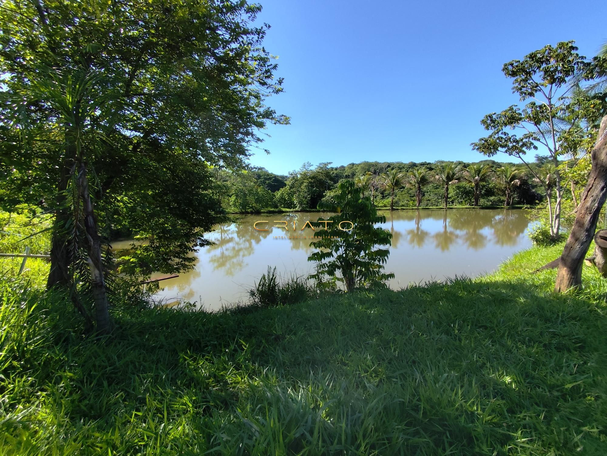 Fazenda à venda com 10 quartos, 100000m² - Foto 25