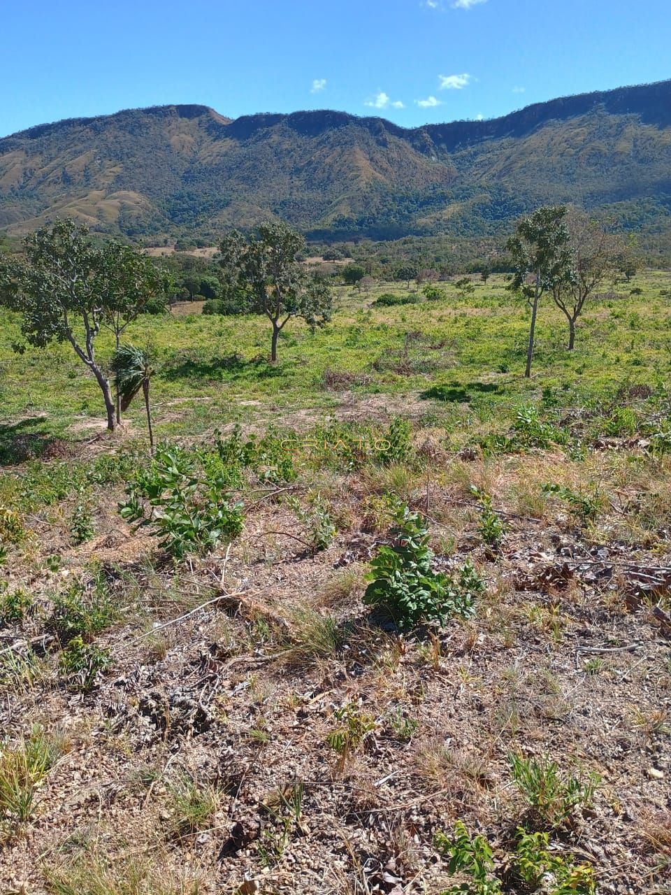 Fazenda à venda com 2 quartos, 5390000m² - Foto 13