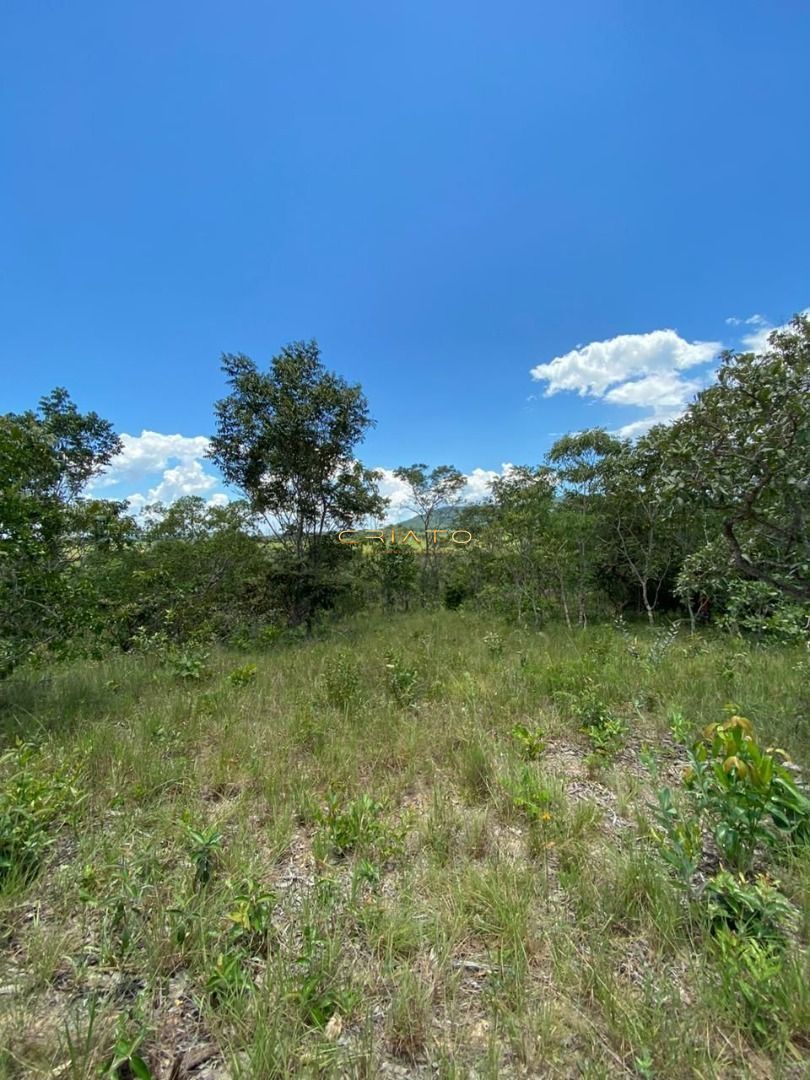 Fazenda/stio/chcara/haras  venda  no Zona Rural - Pirenpolis, GO. Imveis