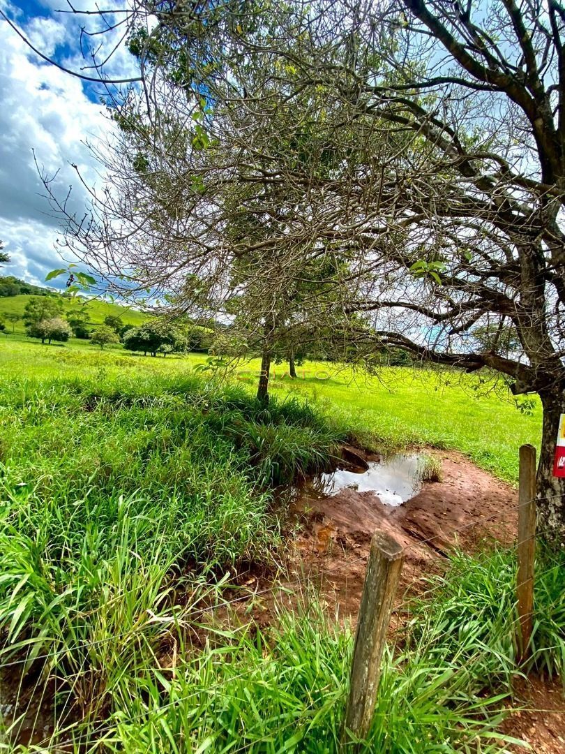 Fazenda à venda, 200000000m² - Foto 1