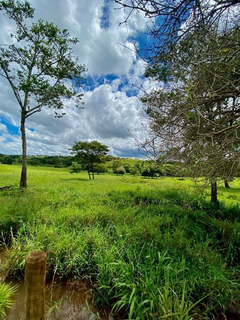 Fazenda à venda, 200000000m² - Foto 7