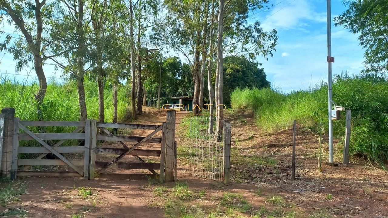 Terreno à venda, 15500m² - Foto 11