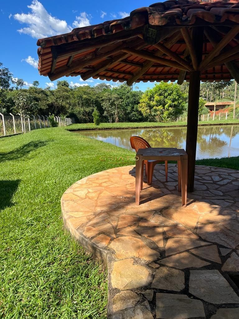 Fazenda à venda com 4 quartos, 6000m² - Foto 19