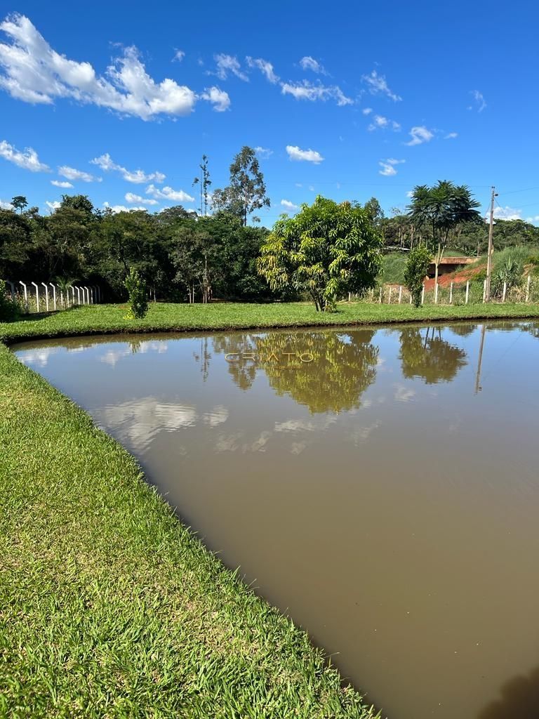 Fazenda à venda com 4 quartos, 6000m² - Foto 8