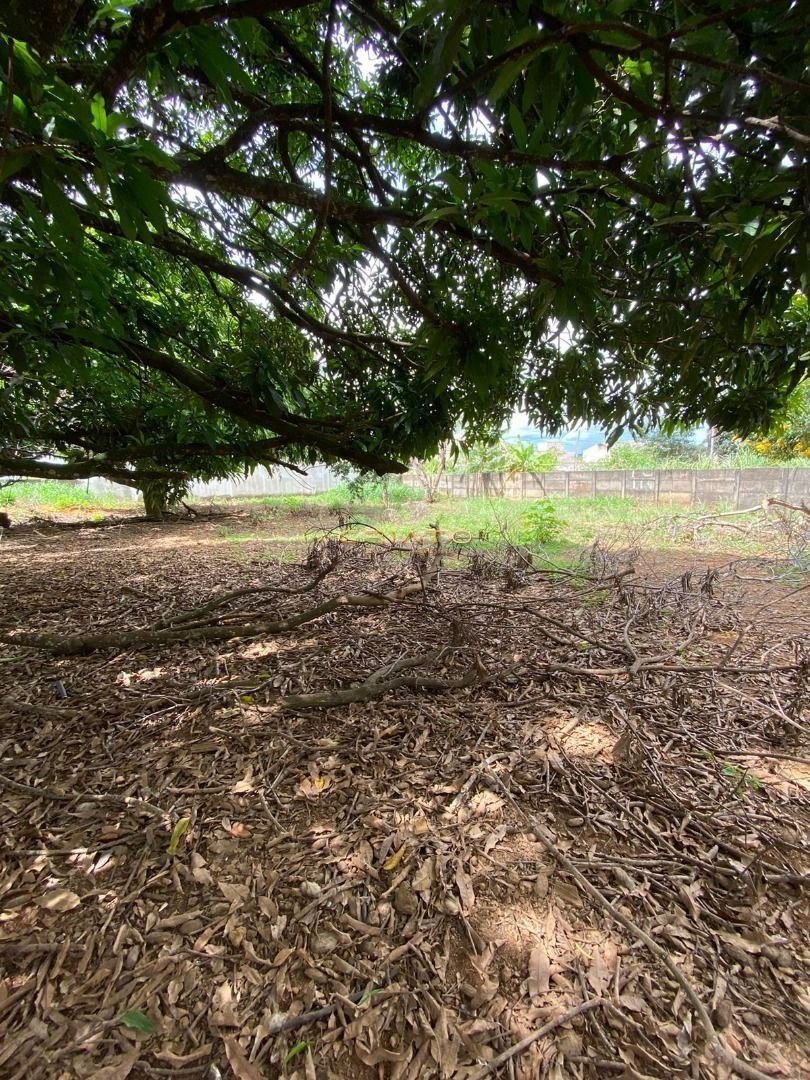 Terreno à venda, 3160m² - Foto 6