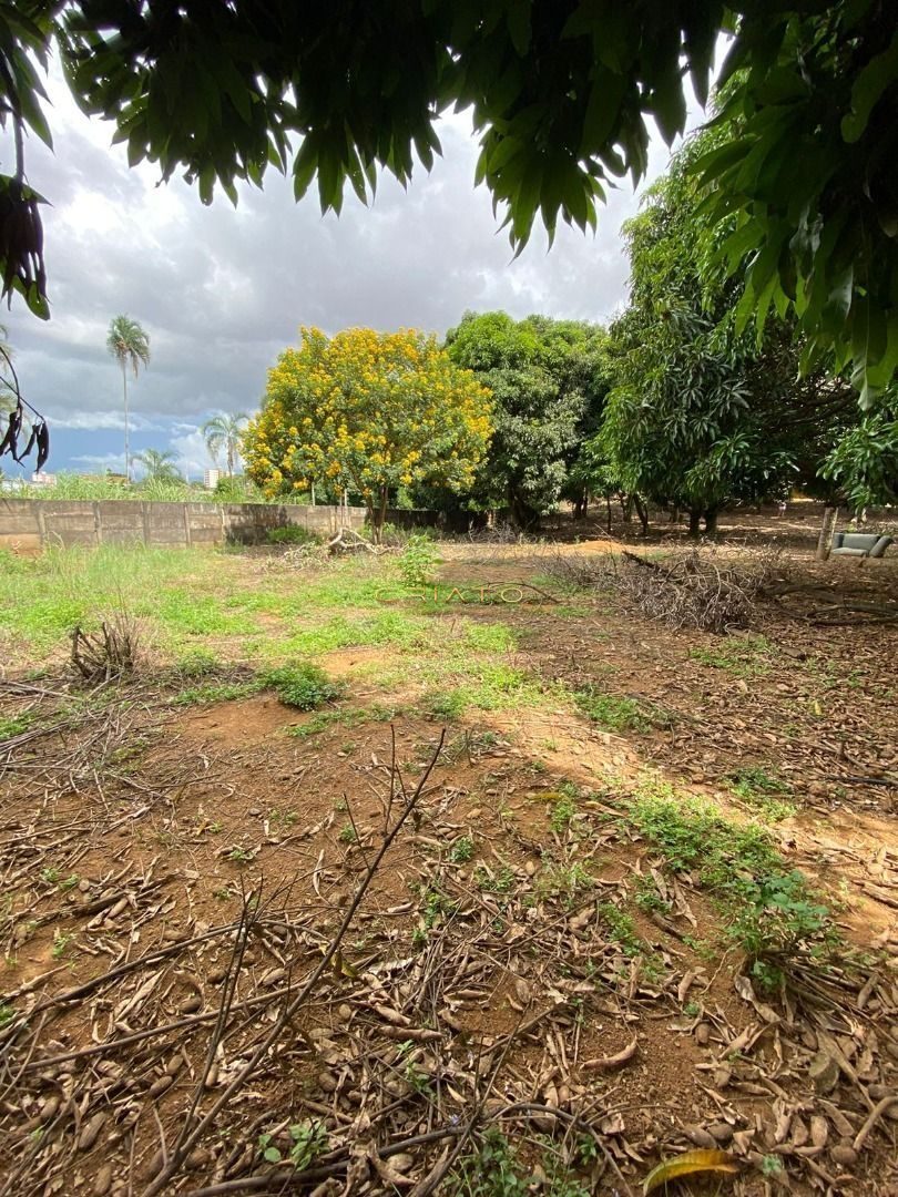 Terreno à venda, 3160m² - Foto 1