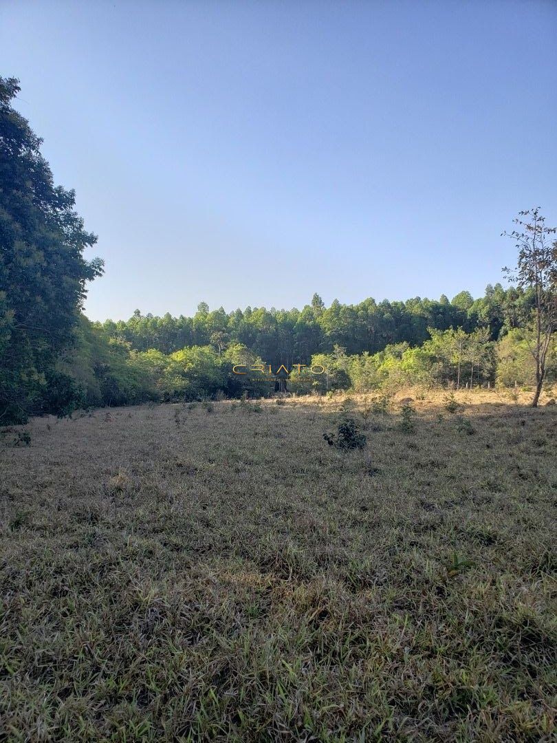 Fazenda à venda, 48400m² - Foto 2