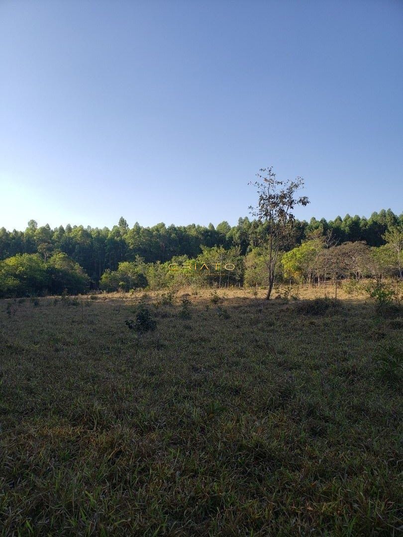 Fazenda à venda, 48400m² - Foto 3