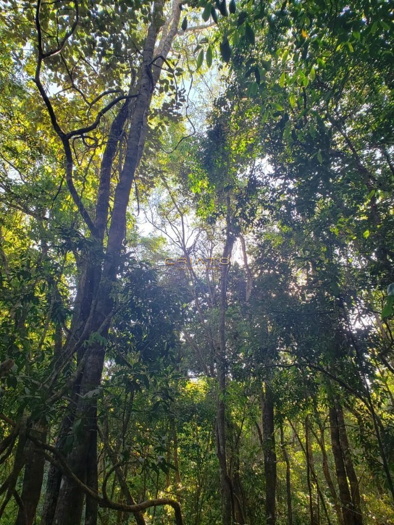 Fazenda à venda, 48400m² - Foto 4