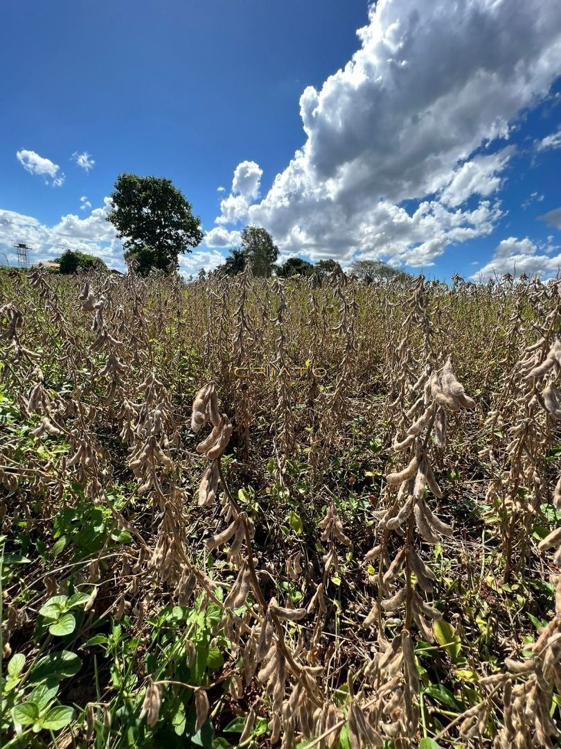 Fazenda à venda, 15497700000m² - Foto 11