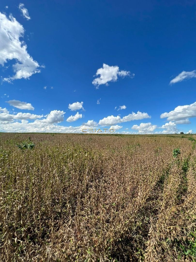 Fazenda à venda, 15497700000m² - Foto 10