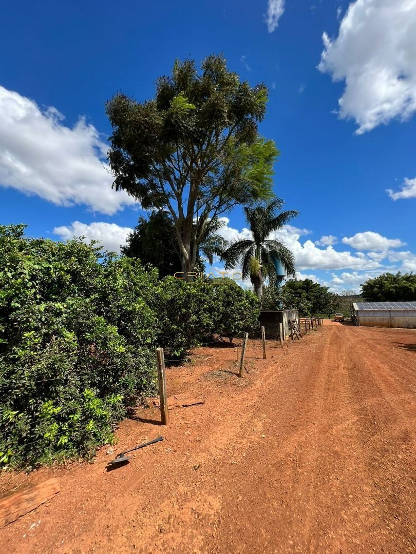 Fazenda à venda, 15497700000m² - Foto 18