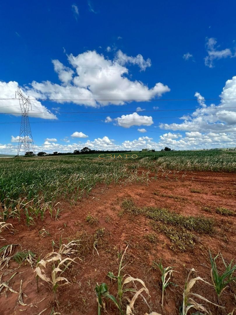 Fazenda à venda, 15497700000m² - Foto 19